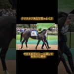 本命はYOUお前だ #競馬予想 #horse #競馬 #ホープフルステークス2024#shorts