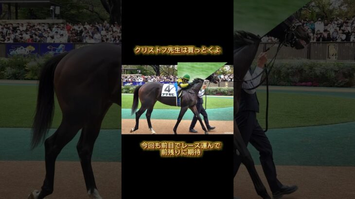 本命はYOUお前だ #競馬予想 #horse #競馬 #ホープフルステークス2024#shorts