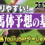 【馬体】競馬予想がもっと面白くなる！馬体の見方！わかりやすく基礎から学べます【YouTuberやーしゅんの競馬予想のポイント解説／スポナビ競馬】