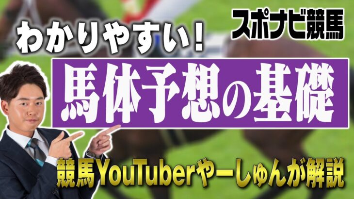 【馬体】競馬予想がもっと面白くなる！馬体の見方！わかりやすく基礎から学べます【YouTuberやーしゅんの競馬予想のポイント解説／スポナビ競馬】