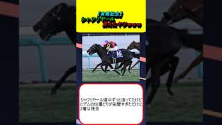 【有馬記念】シャフリヤール買えたヤツｗｗｗ #競馬 #競馬予想 #cデムーロ  #レガレイラ #ダノンデサイル #ベラジオオペラ