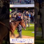 【競馬動画/パドック】朝日杯パドック✨#競馬 #競馬予想 #ウマジョ #馬券勝負 #朝日杯fs #京都競馬場 #パドック予想 #現地映像 #現地観戦 #パドック #朝日杯フューチュリティステークス