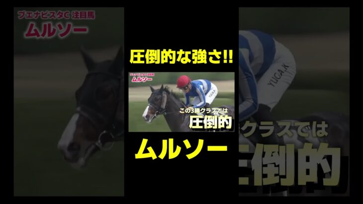 ブエナビスタカップの確勝級の馬 ムルソー　#競馬 #競馬予想 #阪神jf #阪神ジュベナイルフィリーズ #ブエナビスタ