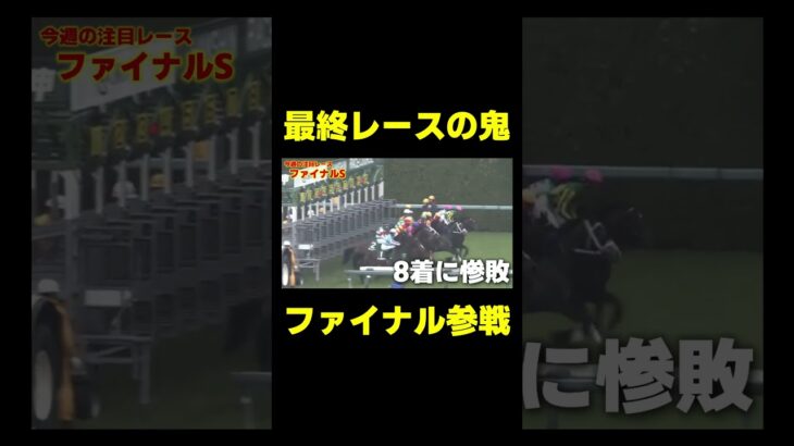 今年最後の競馬は。。。　#競馬 #競馬予想 #ホープフルs #ホープフルステークス