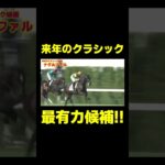 来年クロワデュノールを倒すとしたら？　#競馬 #競馬予想 #ホープフルs #ホープフルステークス #クロワデュノール