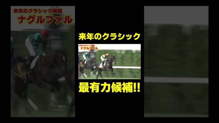 来年クロワデュノールを倒すとしたら？　#競馬 #競馬予想 #ホープフルs #ホープフルステークス #クロワデュノール