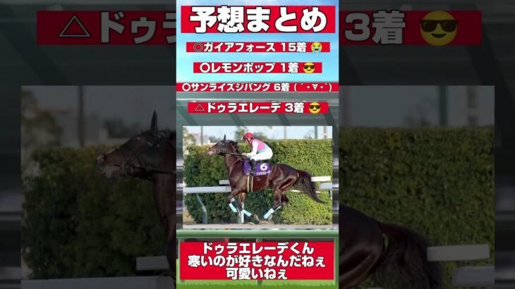 【チャンピオンズカップ】回顧編【競馬予想】#競馬 #競馬予想 #チャンピオンズカップ #レモンポップ #げんけいの回顧 #shorts