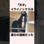 【 競馬 】イクイノックスの雑学⑥ 【 競馬の雑学 】【 ウマ娘 】 #競馬 #雑学 #イクイノックス #ウマ娘 #shorts