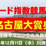 【名古屋大賞典２０２４】東大式スピード指数による競馬予想