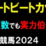 ハートビートカップ２０２４【船橋競馬予想】少頭数でも実力派揃いのメンバー！？