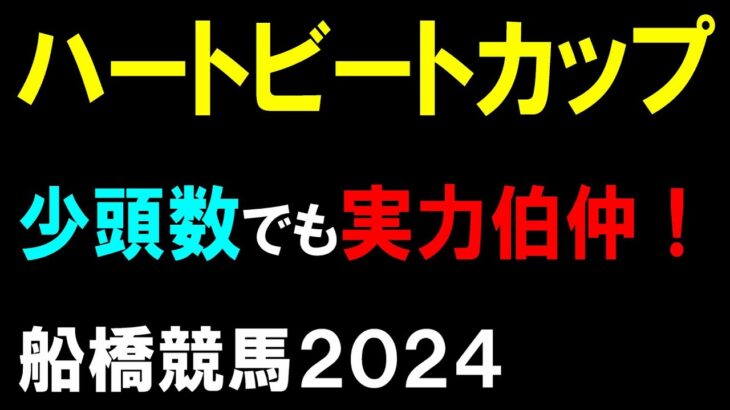 ハートビートカップ２０２４【船橋競馬予想】少頭数でも実力派揃いのメンバー！？