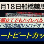 【競馬予想】ハートビートカップ！～２０２４年１２月１８日 船橋競馬場 ：１２－１９