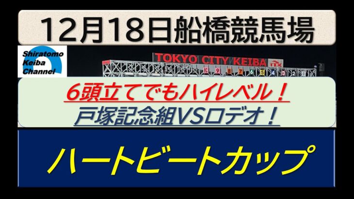 【競馬予想】ハートビートカップ！～２０２４年１２月１８日 船橋競馬場 ：１２－１９