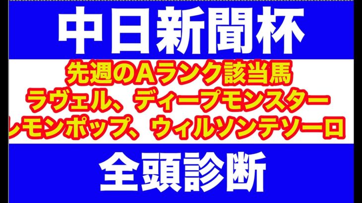 【競馬予想】２０２４　中日新聞杯　 全頭診断