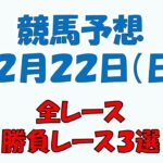 【競馬予想】１２月２２日（日）全レース予想／厳選３レース(平場予想・重賞予想)