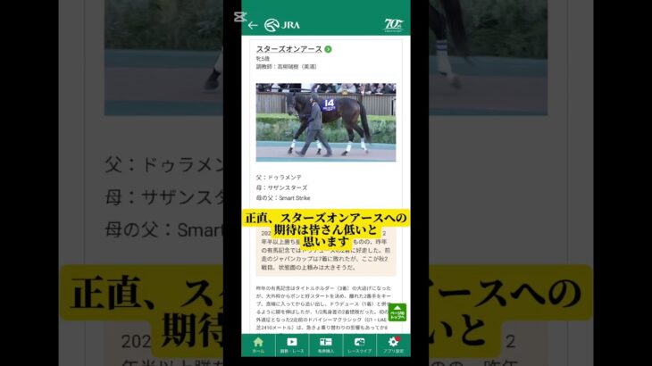 【本日開催】有馬記念を当てたい！ #競馬予想