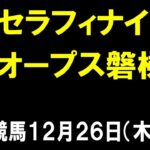 セラフィナイト賞・オープス磐梯賞【大井競馬予想】