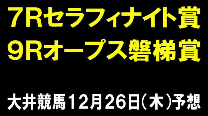 セラフィナイト賞・オープス磐梯賞【大井競馬予想】