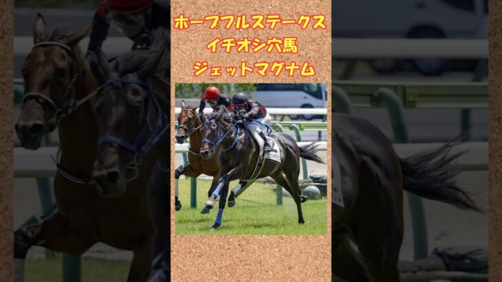 ホープフルステークスイチオシ穴馬ジェットマグナム！#競馬 #競馬予想 #ジェットマグナム #ホープフルステークス