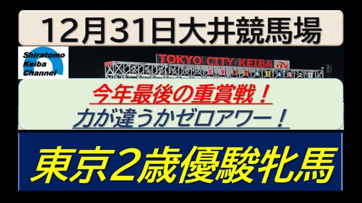 【競馬予想】東京２歳優駿牝馬！～２０２４年１２月３１日 大井競馬場 ：１２－３２