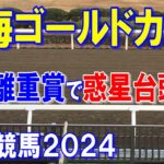 東海ゴールドカップ２０２４【笠松競馬予想】今年から２５００ｍ戦になり長距離馬が浮上！？