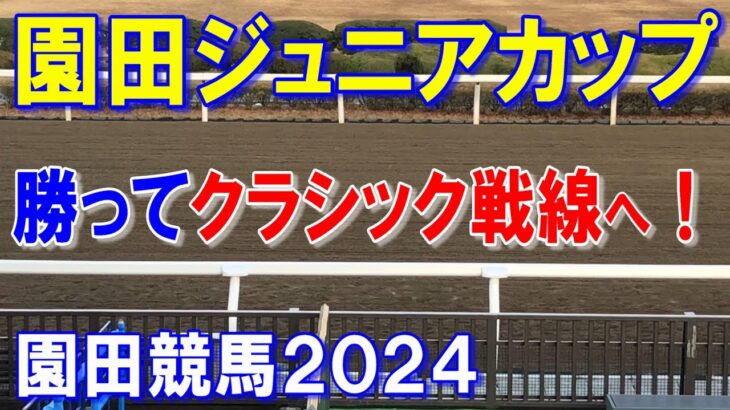 園田ジュニアカップ２０２４【園田競馬予想】中央馬と戦い強くなった馬を本命！！