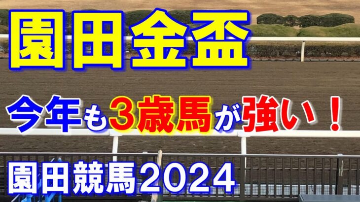 園田金盃２０２４【園田競馬予想】キリンジは強くても勝てない馬です・・・