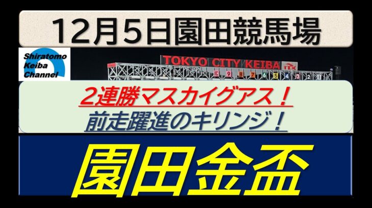 【競馬予想】園田金盃！～２０２４年１２月５日 園田競馬場 ：１２－９