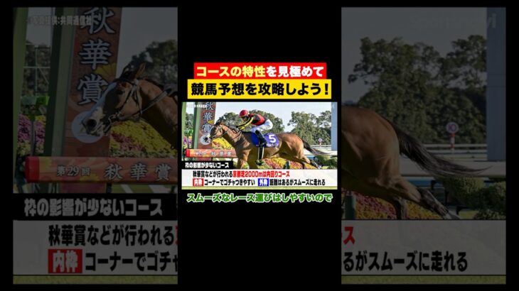 【競馬予想】内枠有利？外枠にもチャンス？コースごとの特徴を見極めよう