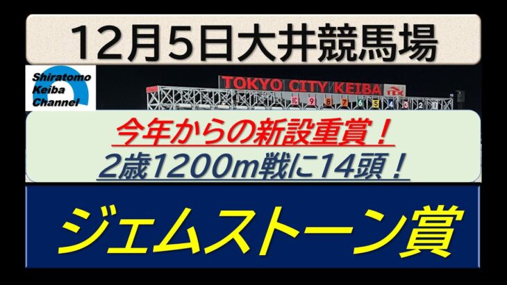 【競馬予想】ジェムストーン賞！～２０２４年１２月５日 大井競馬場 ：１２－１０