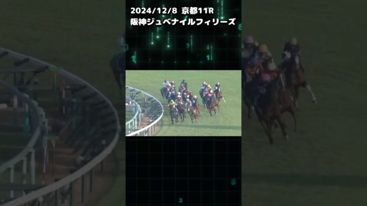 阪神ジュベナイルフィリーズ　もちおの当たらない予想 #競馬 #競馬予想 #競馬予想動画 #阪神ジュベナイルフィリーズ