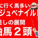 【競馬予想】阪神ジュベナイルＦを徹底解説