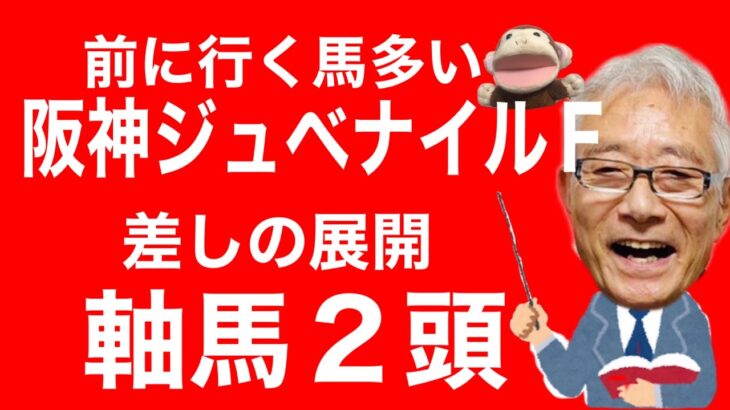 【競馬予想】阪神ジュベナイルＦを徹底解説