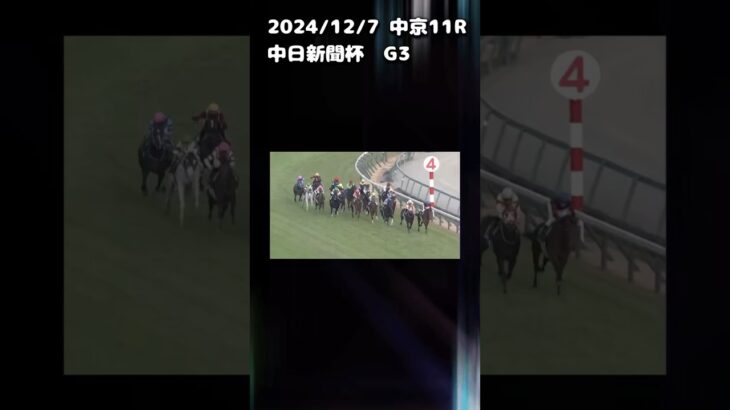 中日新聞杯　もちおの当たらない予想 #競馬 #競馬 #競馬予想動画 #中日新聞杯 #うまぴょい