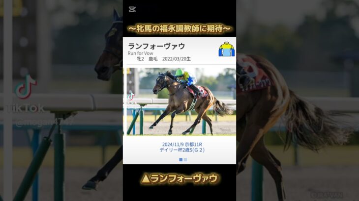 #阪神ジュベナイルフィリーズ #ブラウンラチェット#注目馬 #競馬予想