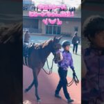 【競馬動画/パドック】ヒヒーンちゃん出走✨#競馬 #競馬予想 #ウマジョ #馬券勝負 #馬券的中 #中京競馬場 #パドック予想 #現地映像 #現地観戦 #パドック