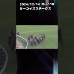 ターコイズステークス　もちおの当たらない予想　#競馬 #競馬予想動画 #競馬予想 #ターコイズステークス