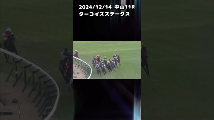 ターコイズステークス　もちおの当たらない予想　#競馬 #競馬予想動画 #競馬予想 #ターコイズステークス