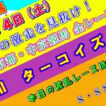 【競馬予想】競馬波乱予報　１２月１４日（土）　中央競馬＆地方競馬　全レース予想！