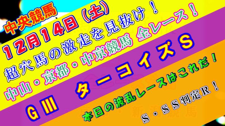 【競馬予想】競馬波乱予報　１２月１４日（土）　中央競馬＆地方競馬　全レース予想！