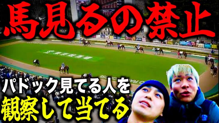 【史上初】パドック見てる人をパドックして競馬予想したらムズすぎたwww