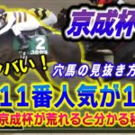 【完璧予想ニシノエージェント11番人気1着】競馬予想で驚きの結果が明らかに！バレない穴馬で勝率アップの秘密を暴露