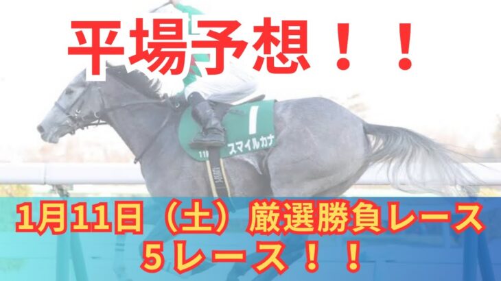 【平場競馬予想】1月11日の厳選競馬予想5レース！