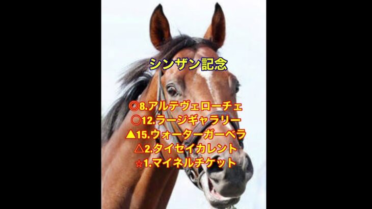 1/12.13 #フェアリーステークス #シンザン記念 #競馬予想 #競馬 #アルテヴェローチェ #ニコさん