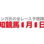 1月1日高知競馬【全レース予想】2025オッズパーク特別