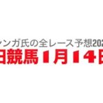 1月14日園田競馬【全レース予想】2025睦月特別