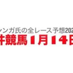 1月14日大井競馬【全レース予想】2025ジャニュアリー賞