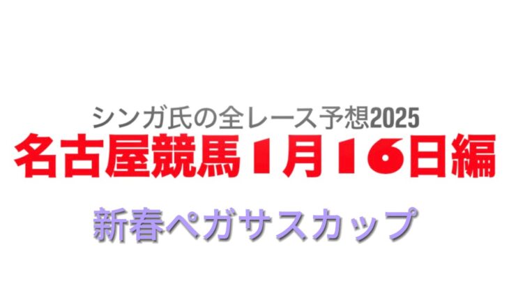 1月16日名古屋競馬【全レース予想】2025新春ペガサスカップ