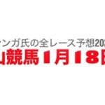 1月18日中山競馬【全レース予想】2025カーバンクルS