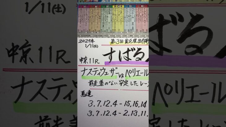 【競馬予想】中京11R すばるステークス🐎前走差のない馬に期待😃❣️